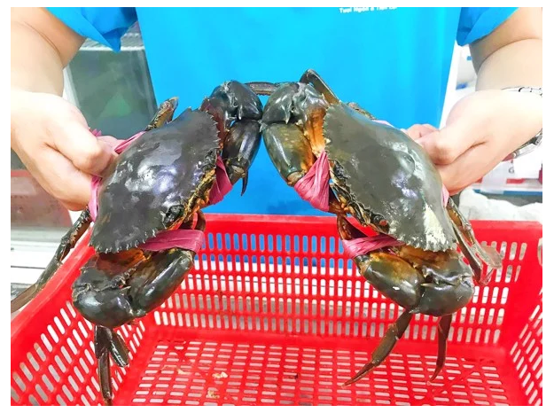 (HỘ KINH DOANH) LÊ THỊ BÉ NGOAN