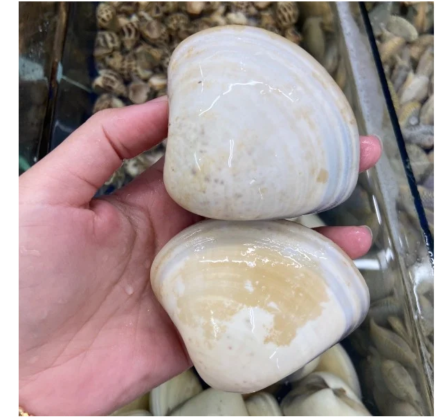 (HỘ KINH DOANH) LÊ THỊ BÉ NGOAN