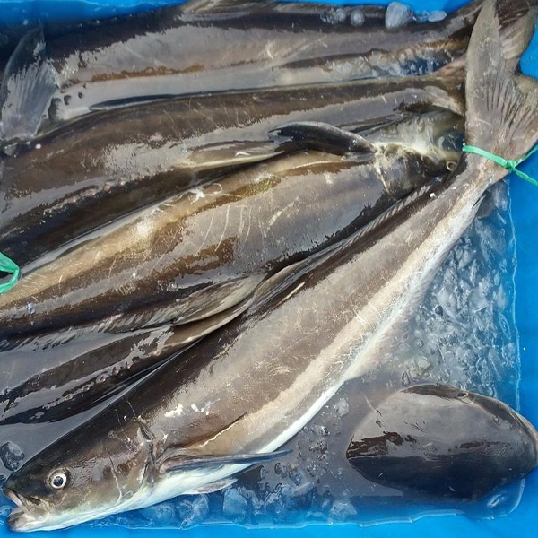 (HỘ KINH DOANH) LÊ THỊ BÉ NGOAN