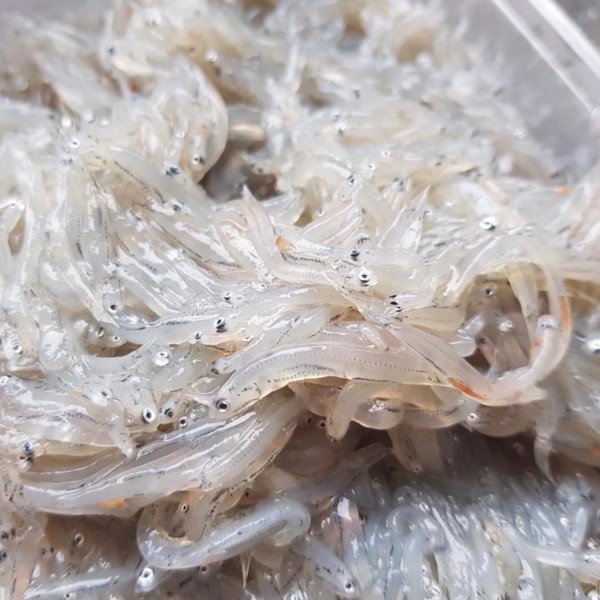 (HỘ KINH DOANH) LÊ THỊ BÉ NGOAN