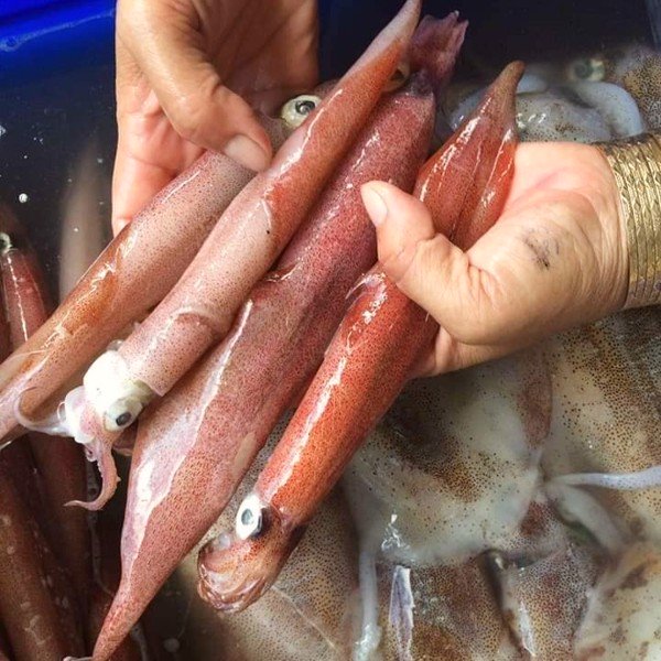 (HỘ KINH DOANH) LÊ THỊ BÉ NGOAN