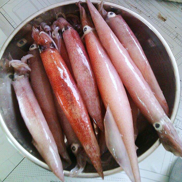 (HỘ KINH DOANH) LÊ THỊ BÉ NGOAN