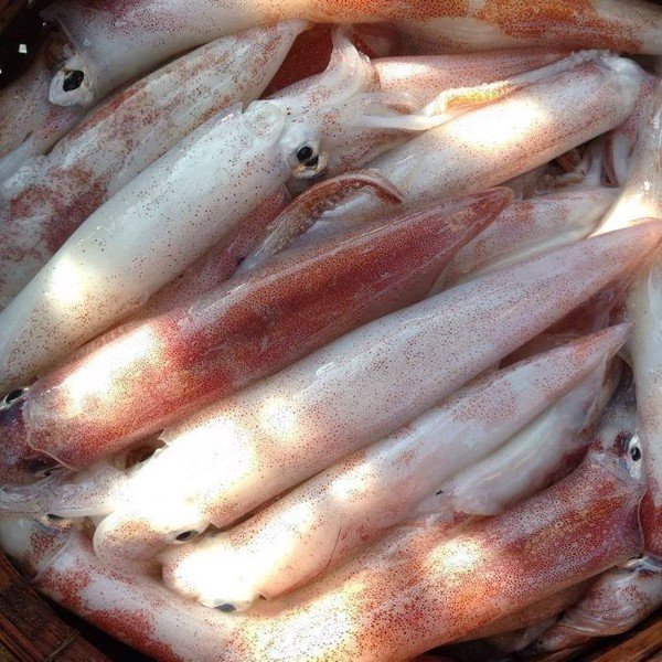 (HỘ KINH DOANH) LÊ THỊ BÉ NGOAN