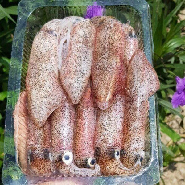 (HỘ KINH DOANH) LÊ THỊ BÉ NGOAN