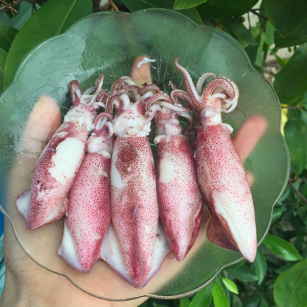 (HỘ KINH DOANH) LÊ THỊ BÉ NGOAN