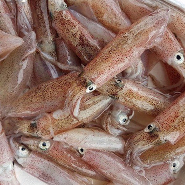 (HỘ KINH DOANH) LÊ THỊ BÉ NGOAN