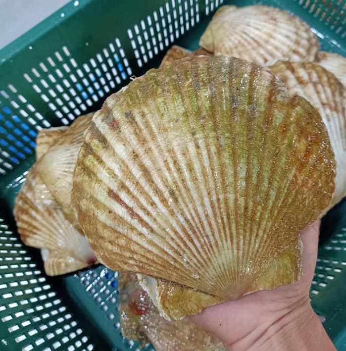 (HỘ KINH DOANH) LÊ THỊ BÉ NGOAN