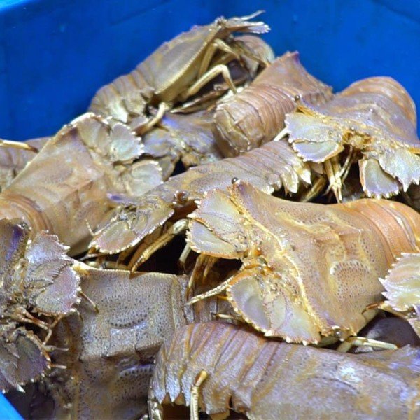 (HỘ KINH DOANH) LÊ THỊ BÉ NGOAN