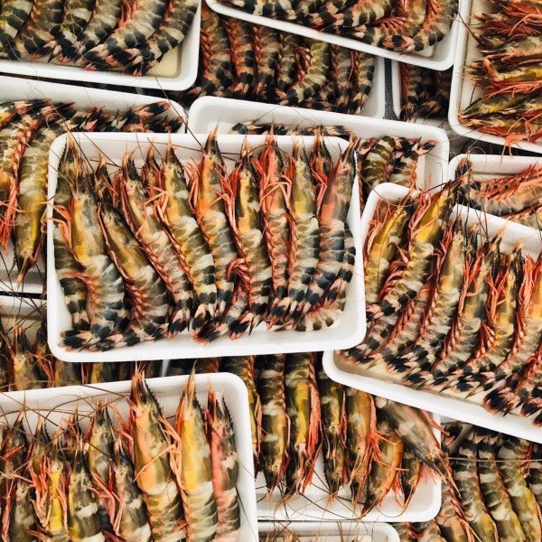 (HỘ KINH DOANH) LÊ THỊ BÉ NGOAN