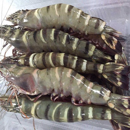 (HỘ KINH DOANH) LÊ THỊ BÉ NGOAN