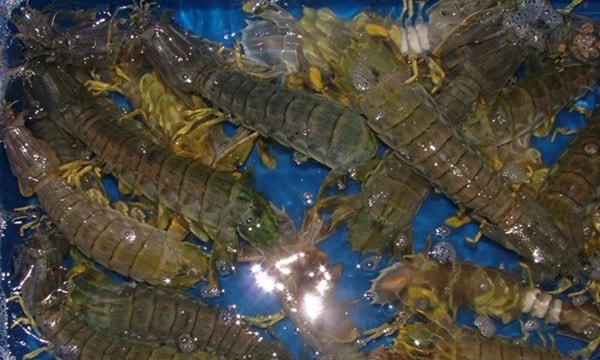 (HỘ KINH DOANH) LÊ THỊ BÉ NGOAN